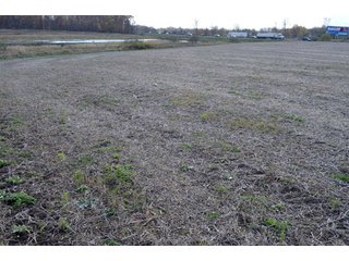 Property photo 85 - 127 Acres Offered in 8 Tracts - Allen & Dekalb County Land